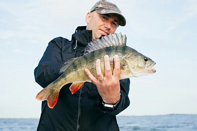 Fisch