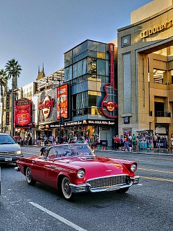 Hollywood