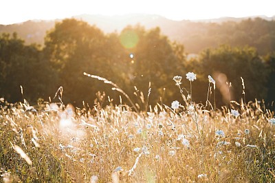 Sommer